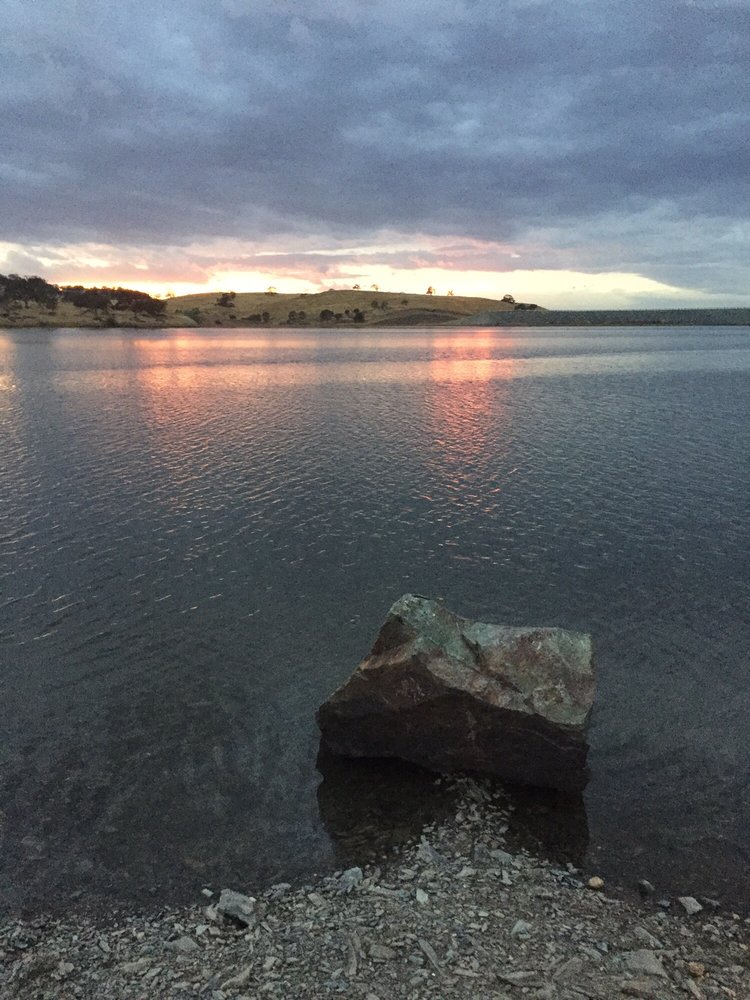 Cecilia S.'s profile image