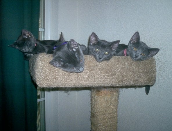 Kristina F.'s profile image