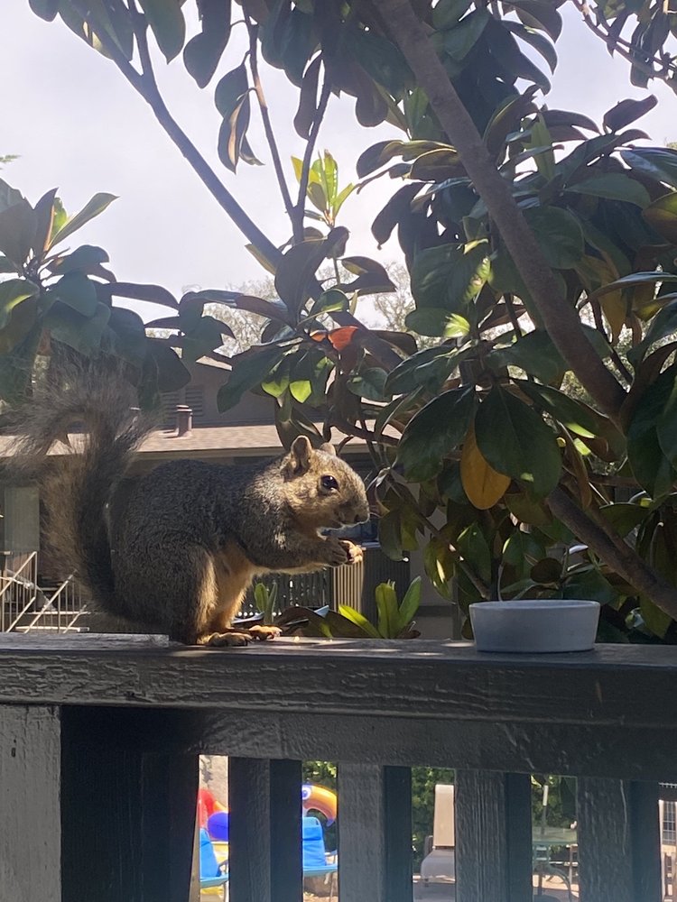 Kate E.'s profile image