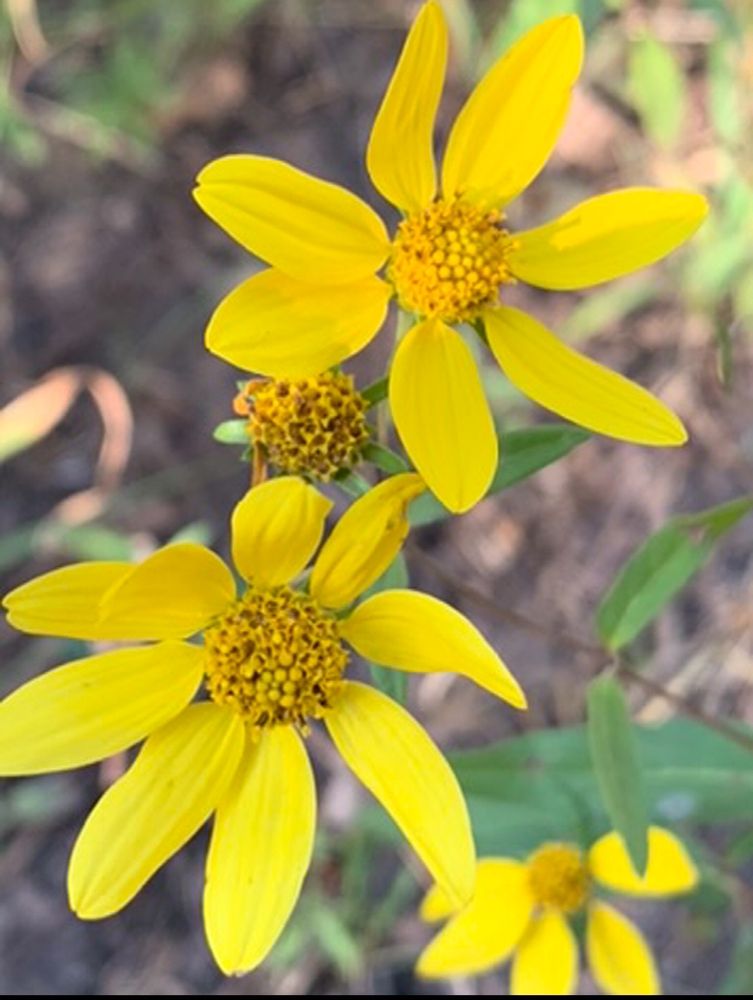 Cate C.'s profile image