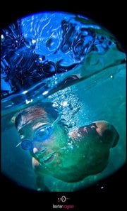 Xeno R.'s profile image