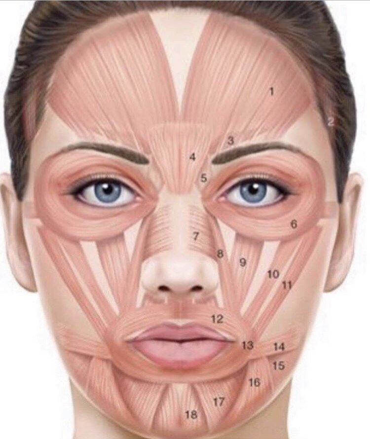 Gena M.'s profile image