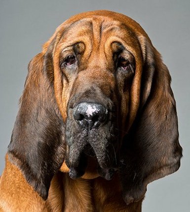 Scott M.'s profile image