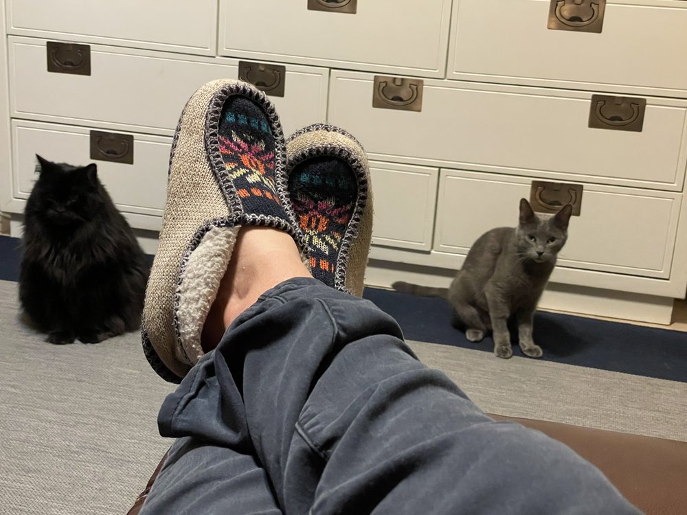 Kelly H.'s profile image