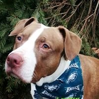 Russ G.'s profile image