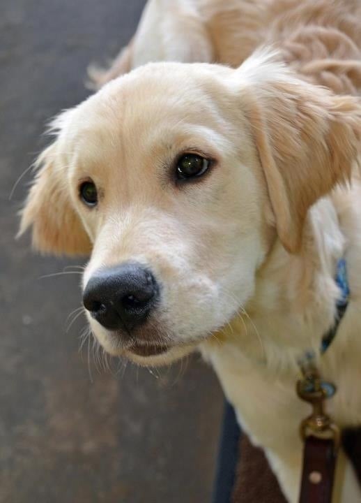 Shannon K.'s profile image