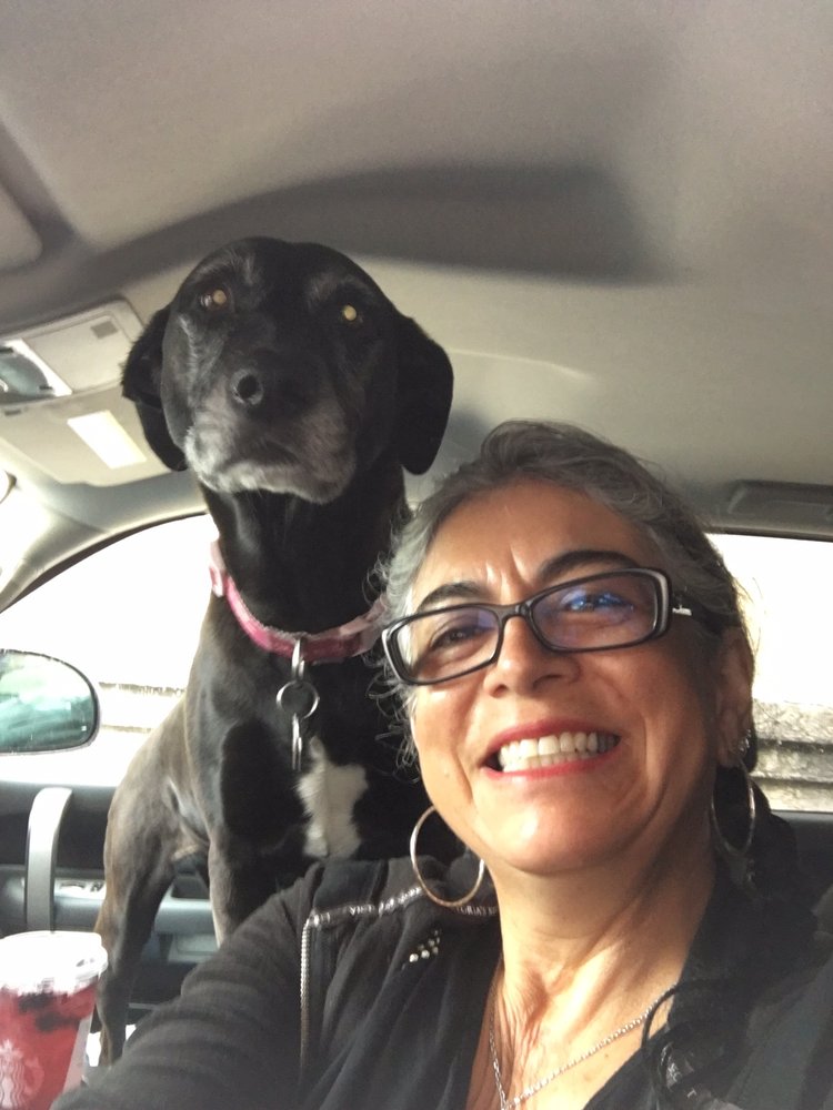 Linda N.'s profile image