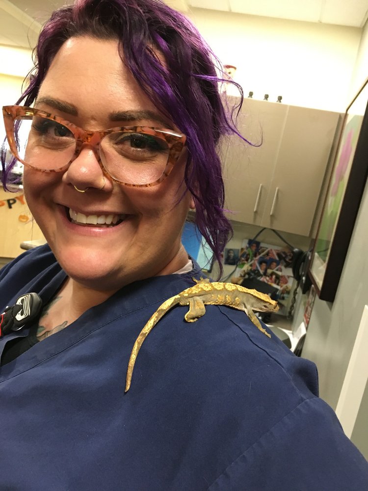 Rachel R.'s profile image