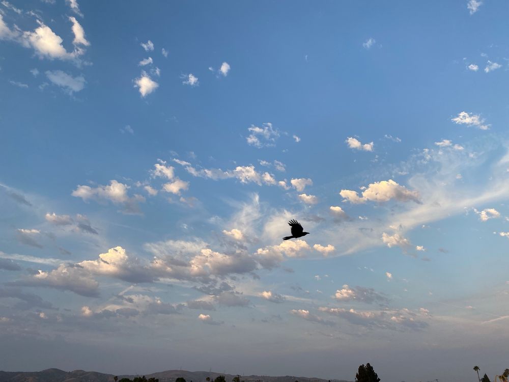 Melissa T.'s profile image