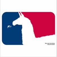 Nico P.'s profile image