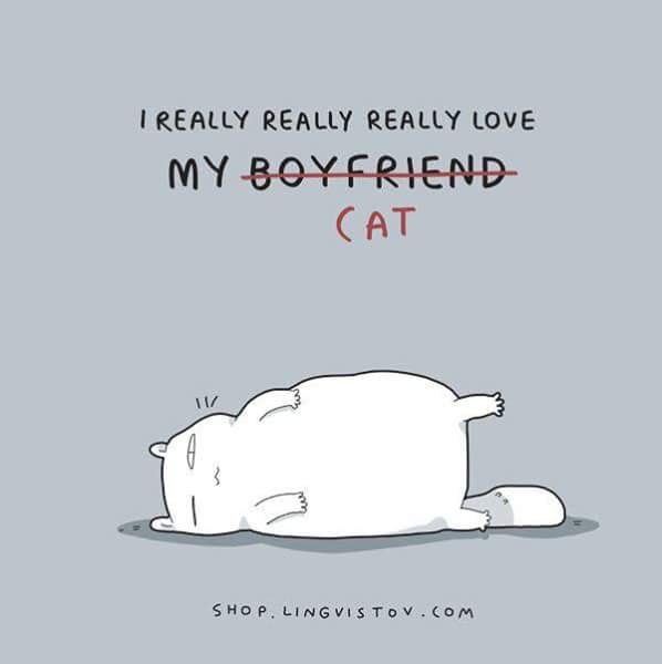 Laura B.'s profile image