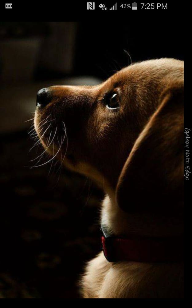 w e.'s profile image