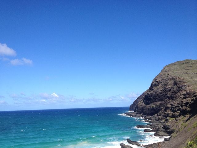 Liz R.'s profile image