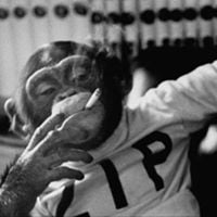 Tom Z.'s profile image