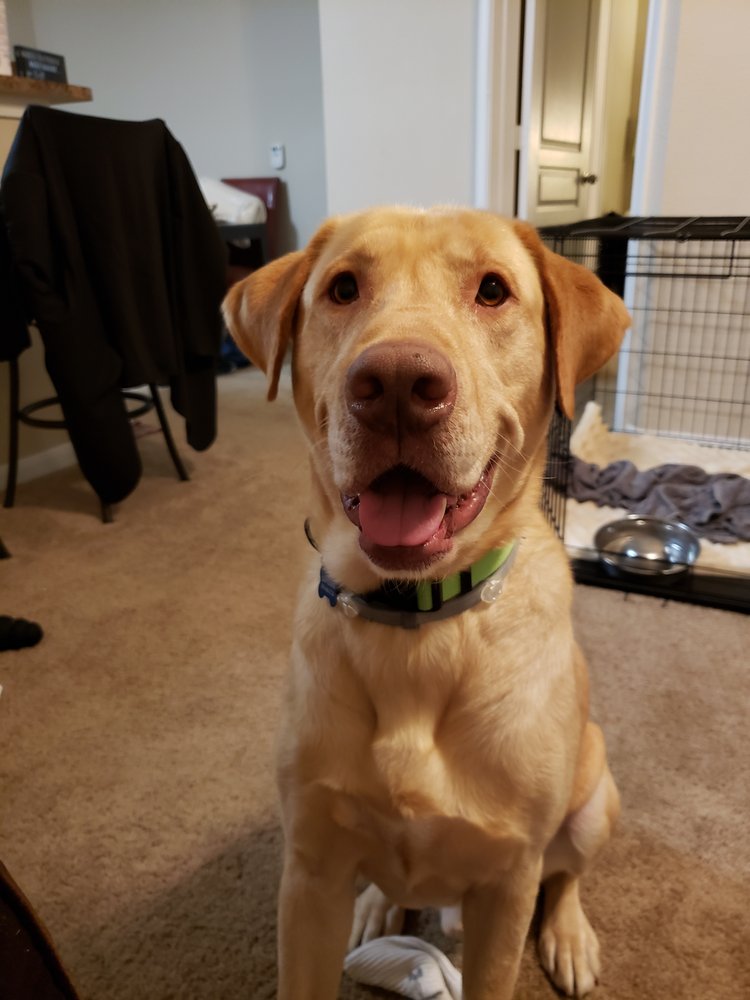 Sam K.'s profile image