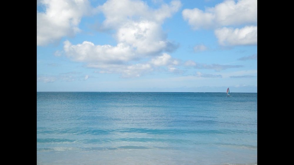 Marz W.'s profile image