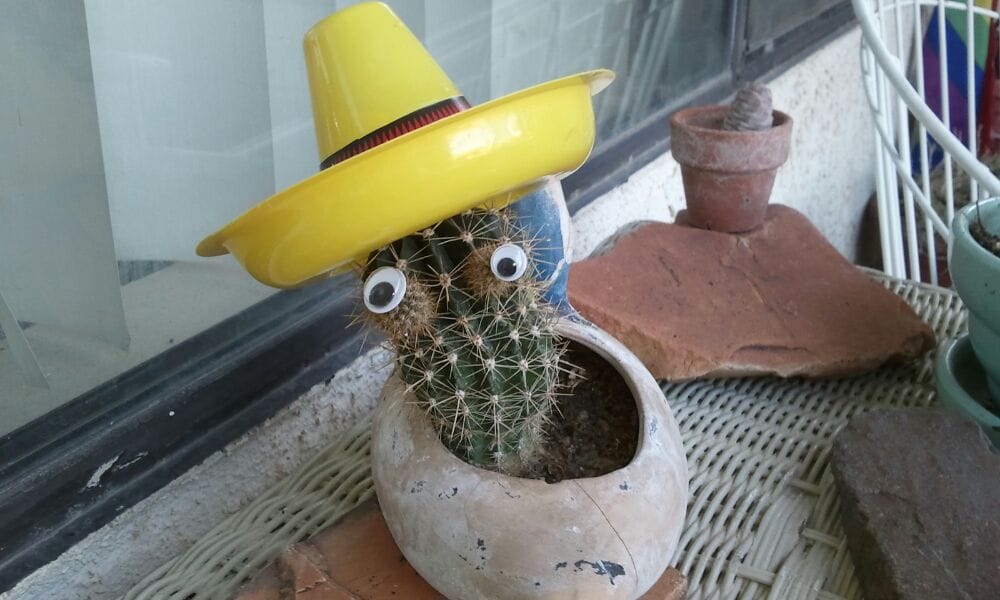 Andy C.'s profile image