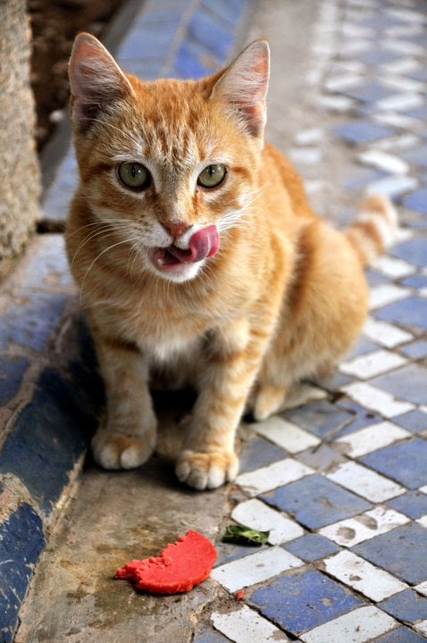 Roorah R.'s profile image