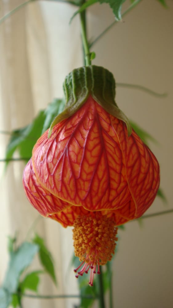 David L.'s profile image