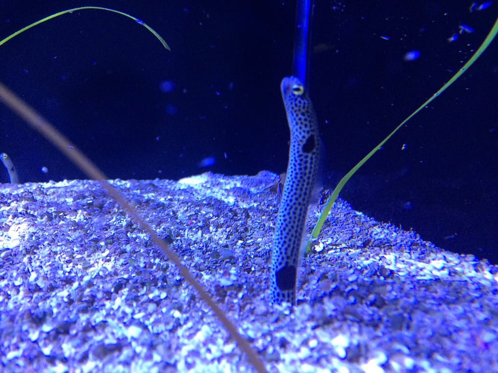 Bruce D.'s profile image