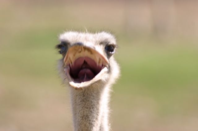 Matthew G.'s profile image