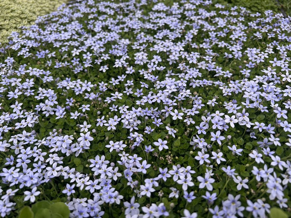 Danielle C.'s profile image