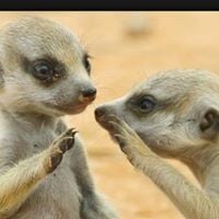 Monique V.'s profile image