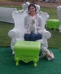 Rachel E.'s profile image