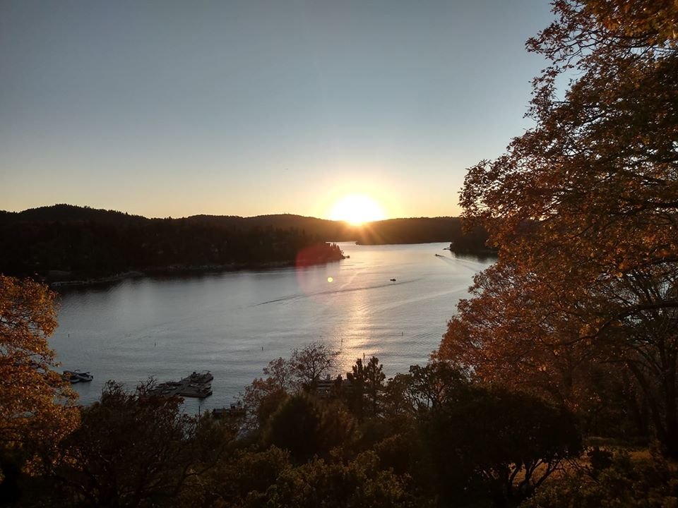 Claire T.'s profile image