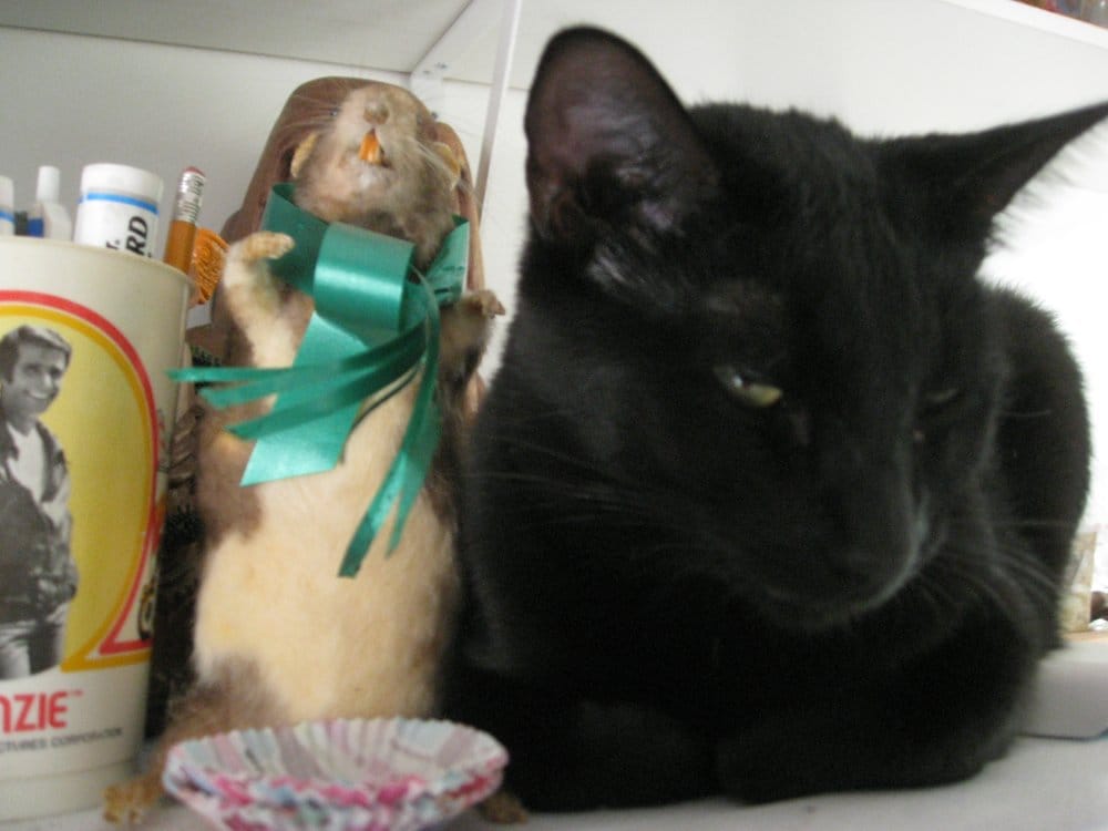 Jordan P.'s profile image