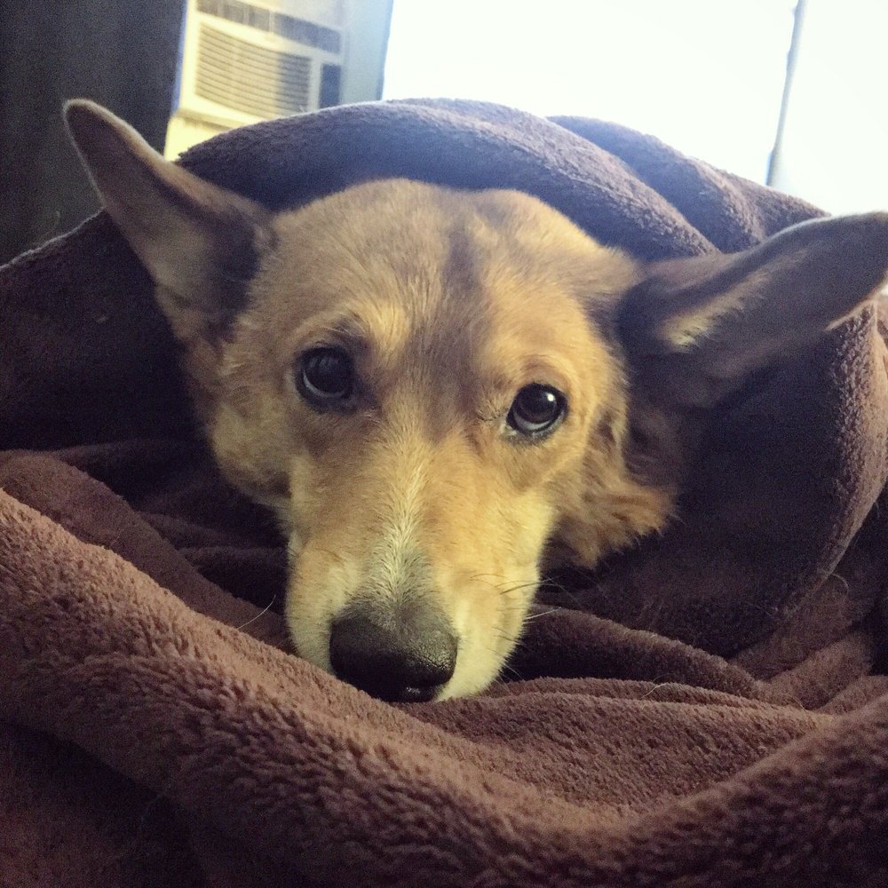 Lindsay S.'s profile image