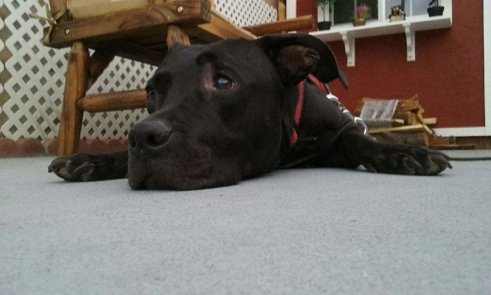 Yancy C.'s profile image