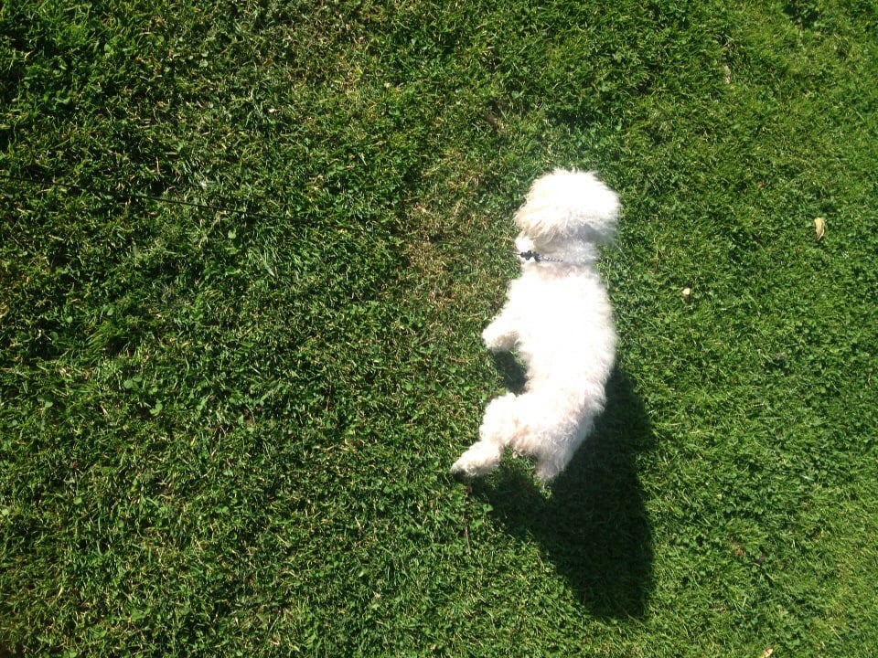 Angie L.'s profile image