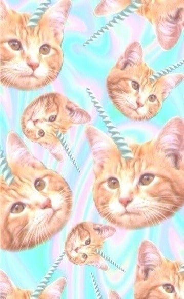 Billie R.'s profile image