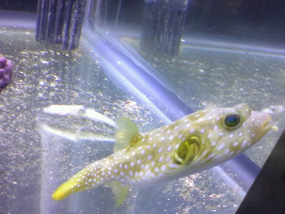 Ryan E.'s profile image