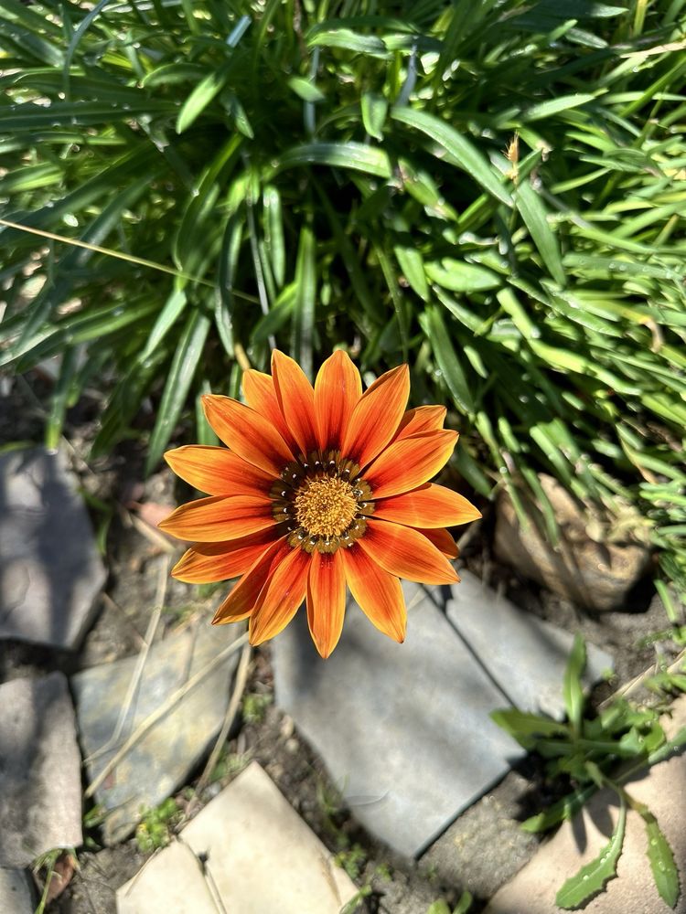 Maye M.'s profile image