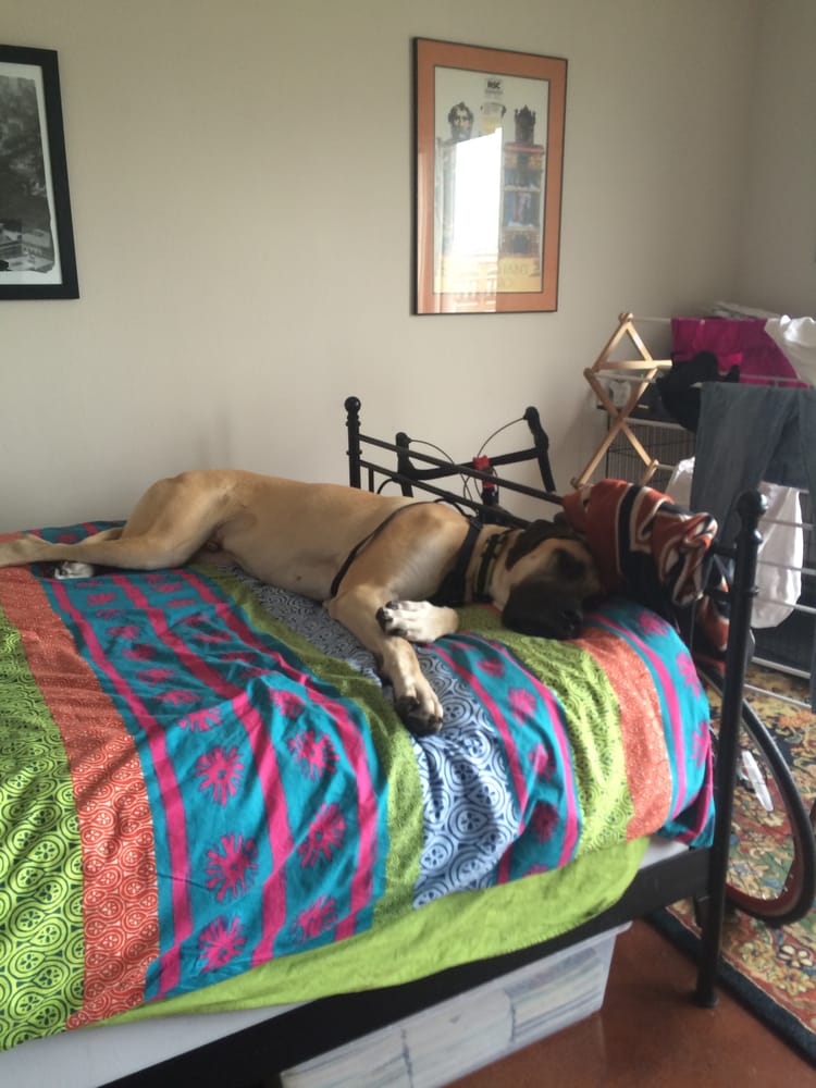 Kim B.'s profile image