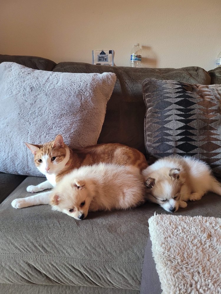 Jesselyn C.'s profile image