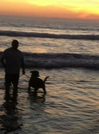 Manny H.'s profile image