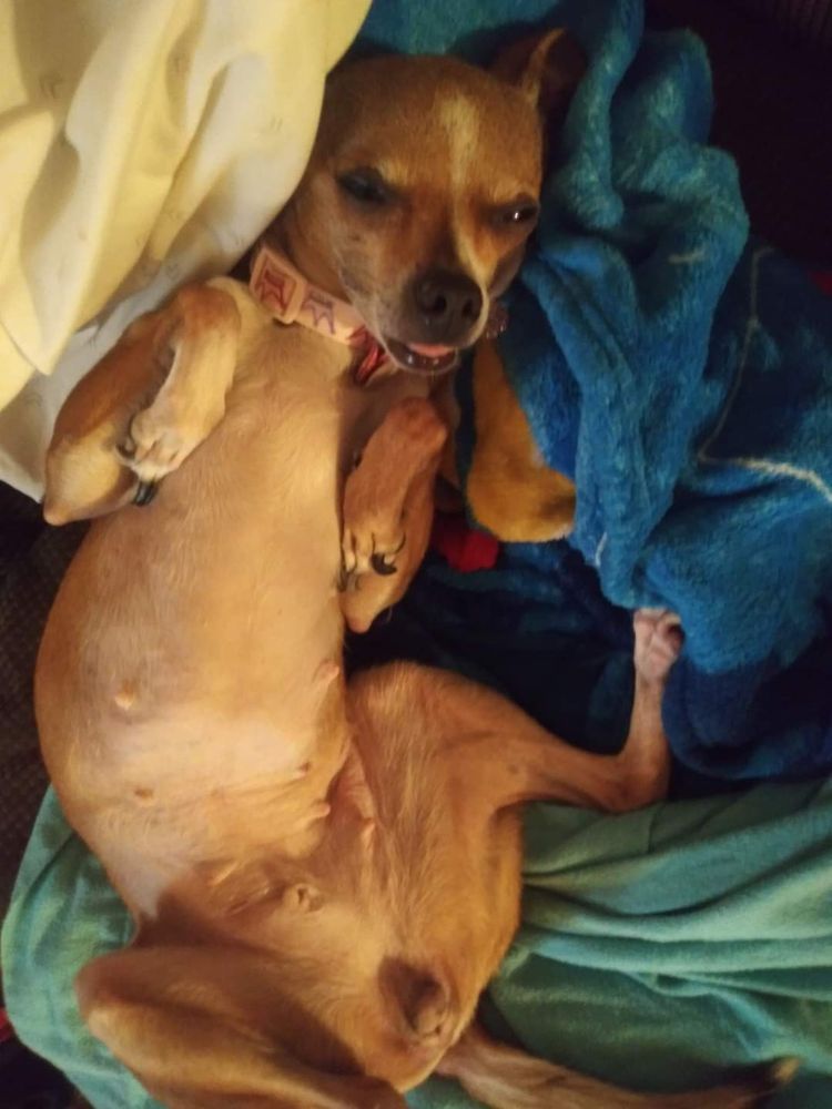 Vicky C.'s profile image