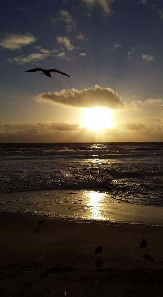 Lyhna S.'s profile image