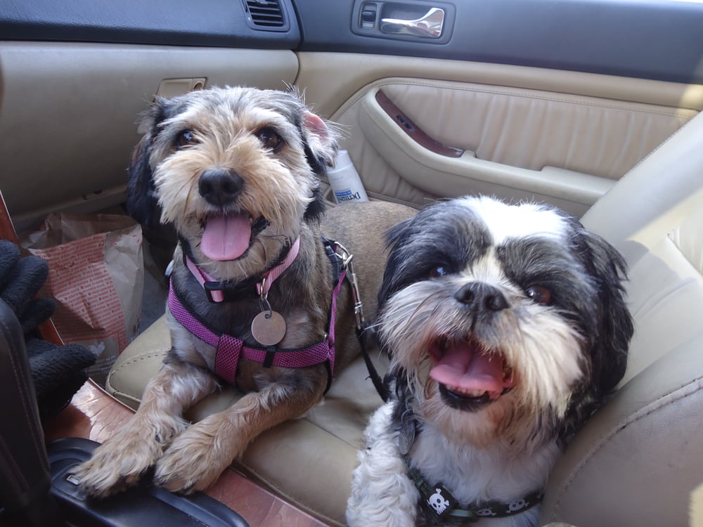 T.B. R.'s profile image