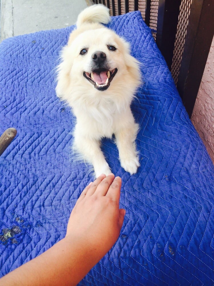 Maritza P.'s profile image