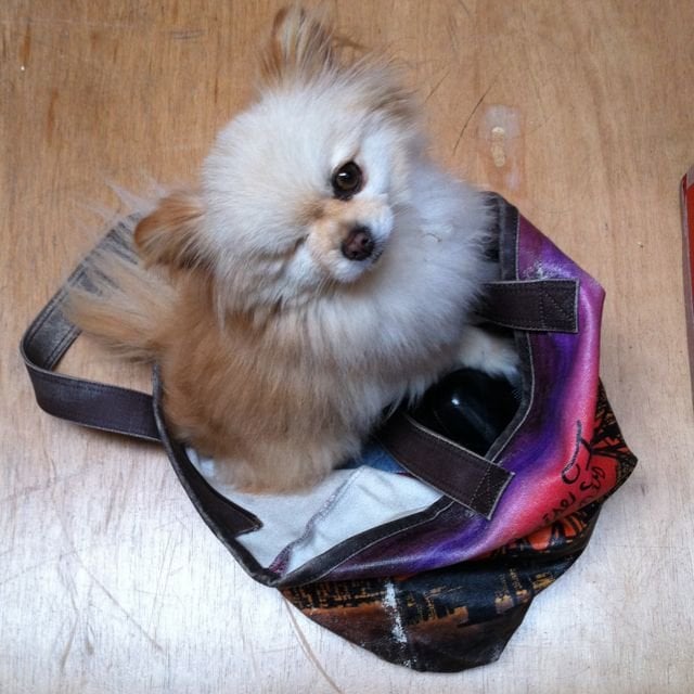 Liz B.'s profile image