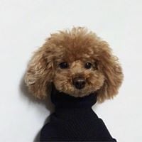 Katie L.'s profile image