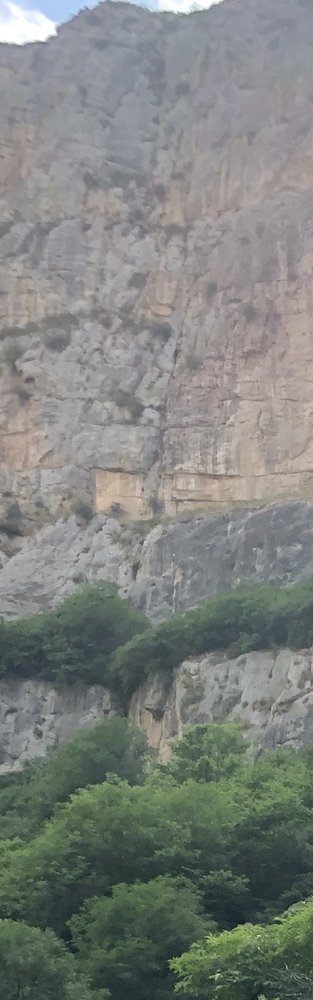 Athena O.'s profile image