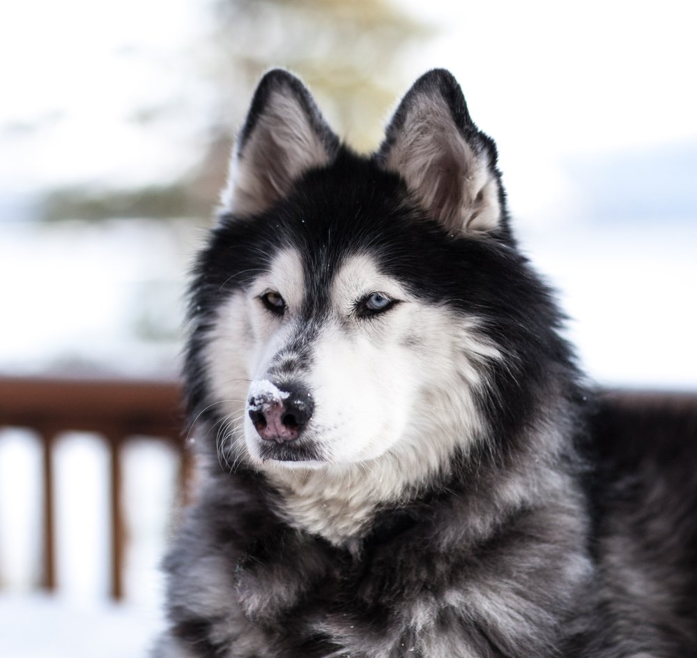 Rebecca R.'s profile image