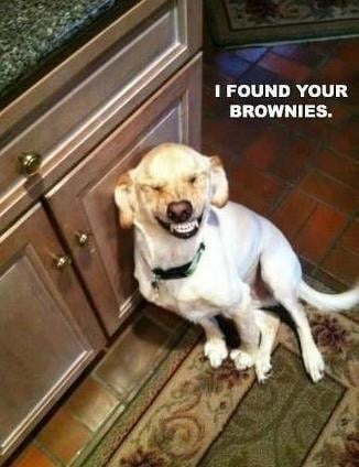 Bran L.'s profile image