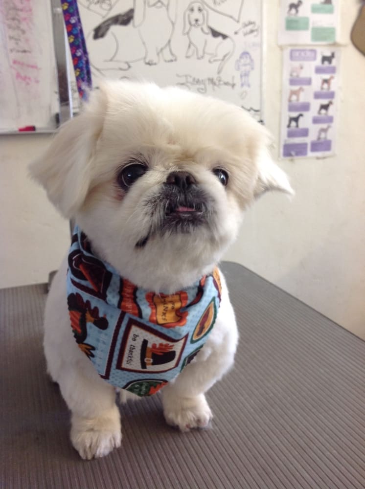 Flora M.'s profile image