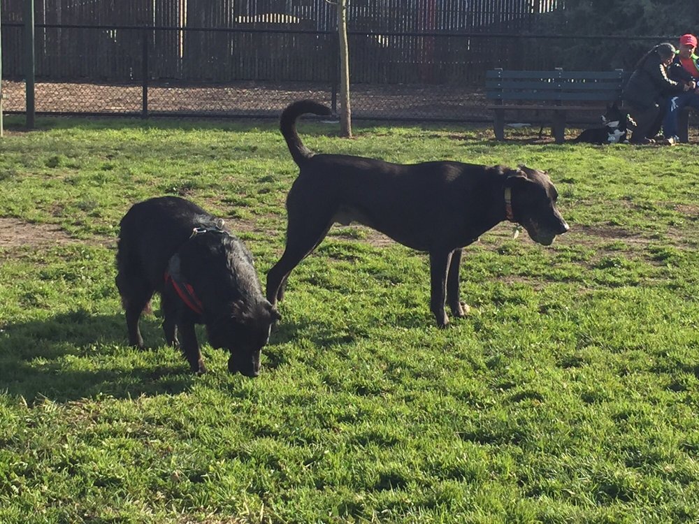 Julie C.'s profile image